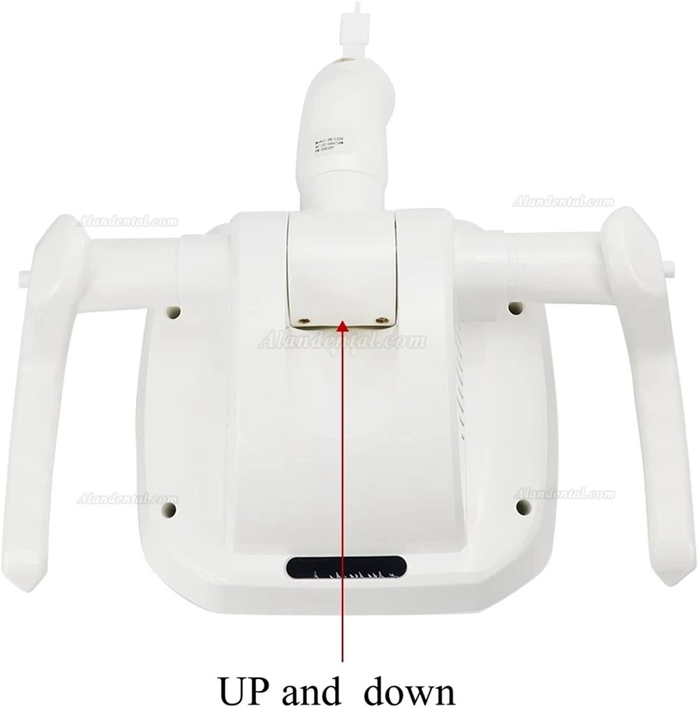 Dental Chair LED Oral Lamp/Dental Shadowless Lighting Induction Sensitive Light(22mm/26mm)